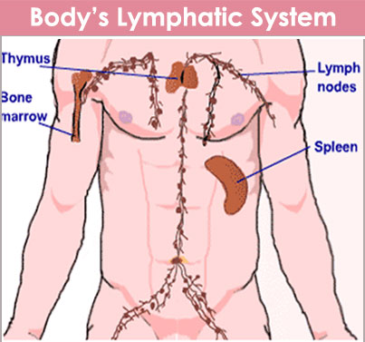 Lymphoma Treatment In India