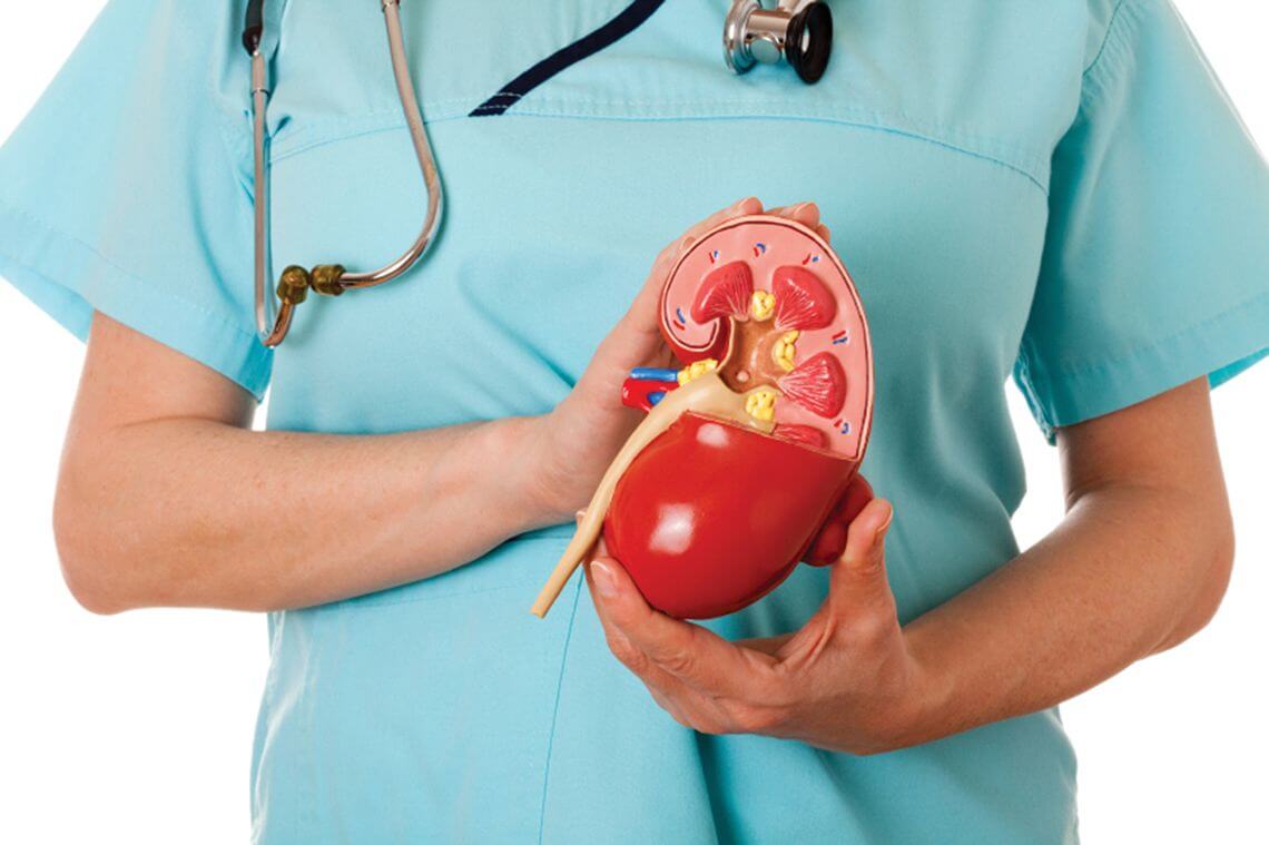 Kidney Transplant Cost In India