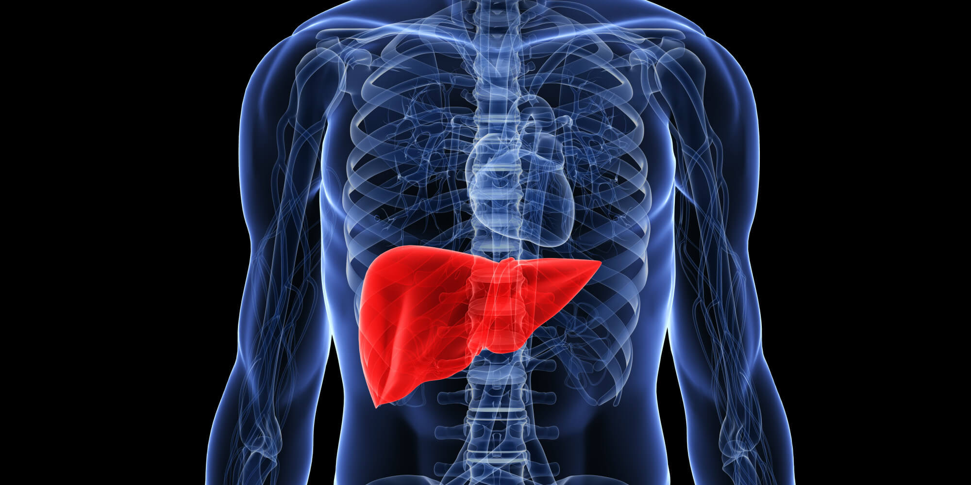 Liver Transplant Cost In India